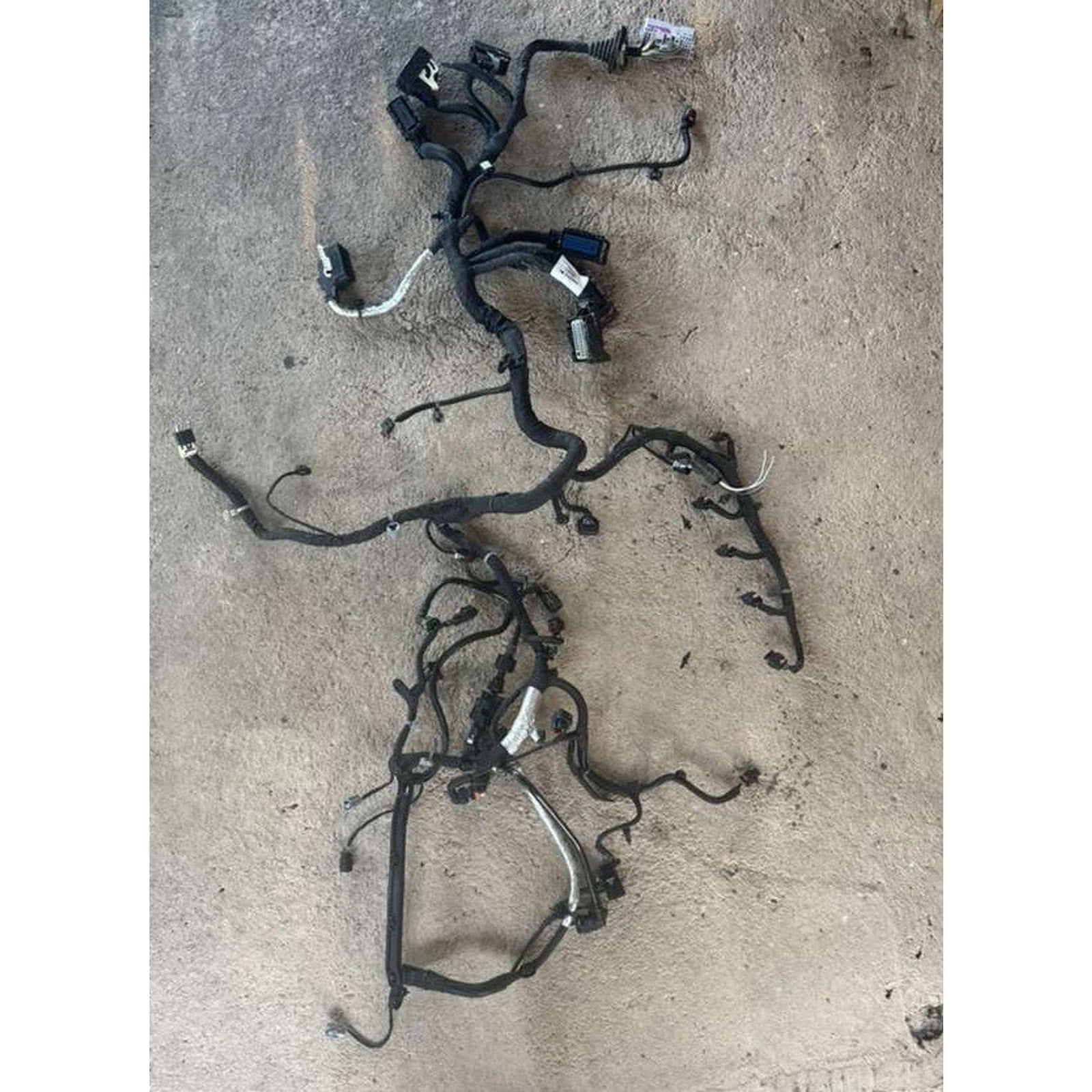 2022 Motor 1.5 GMC Terrain Vehicle Body Wiring Harness Loom Assembly84194386