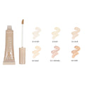 Amuse Cover It - 2 In 1 Foundation & Concealer set of 4