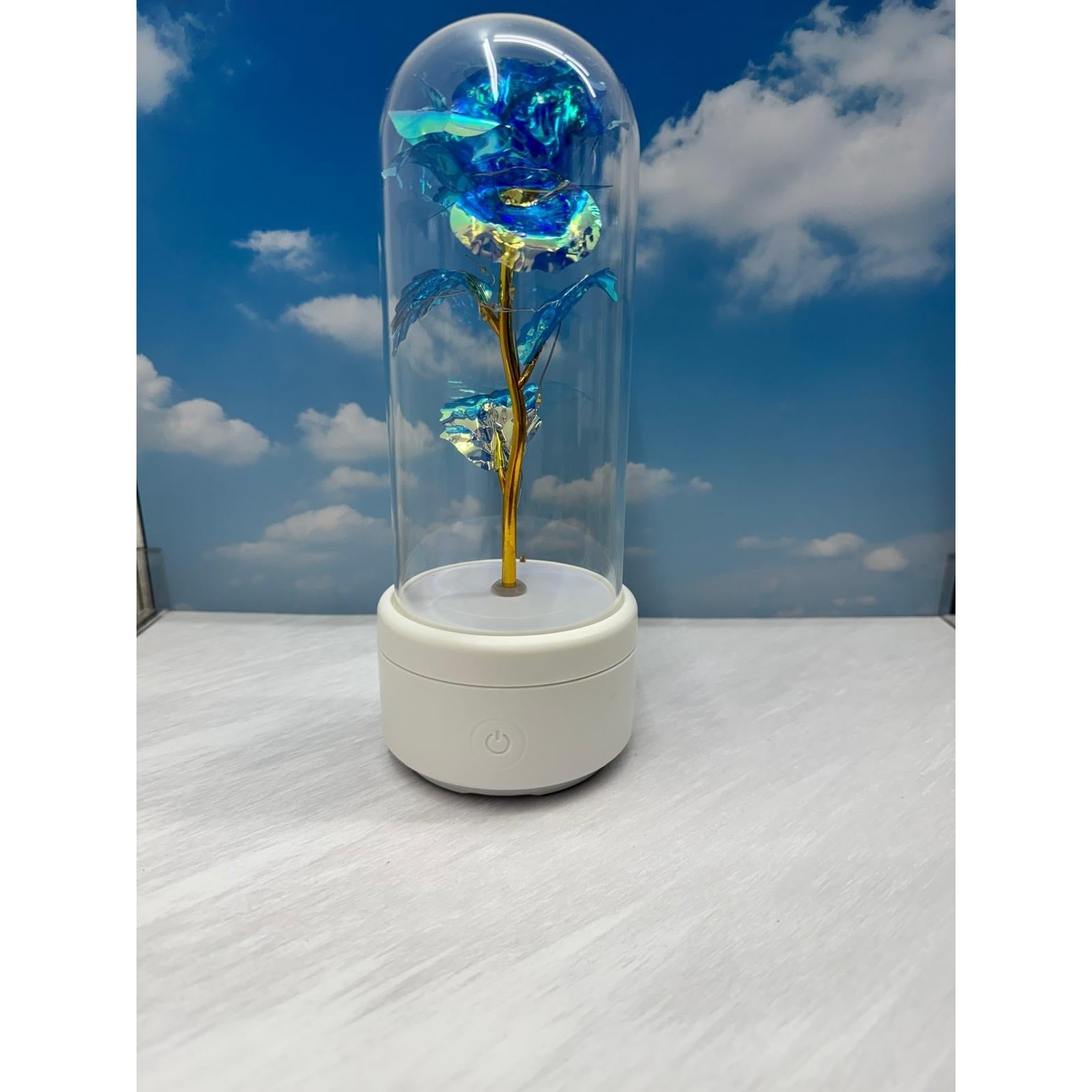 Eternally Enclosed Rose Flower - Featuring LED Lights and Bluetooth Speaker