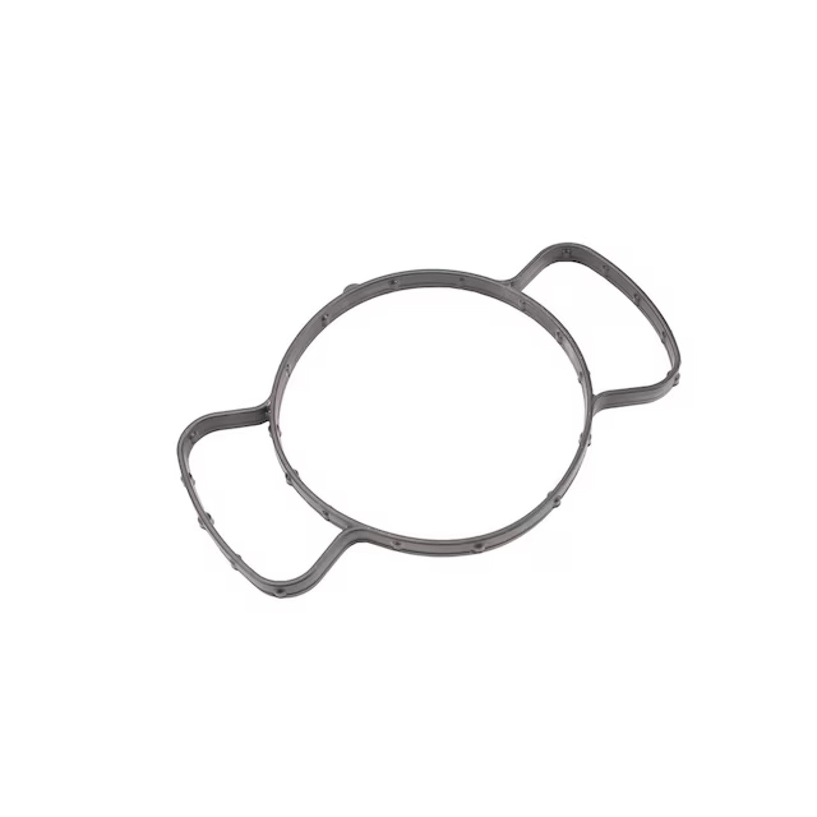 GM Genuine Parts Engine Water Pump Seal 12691259